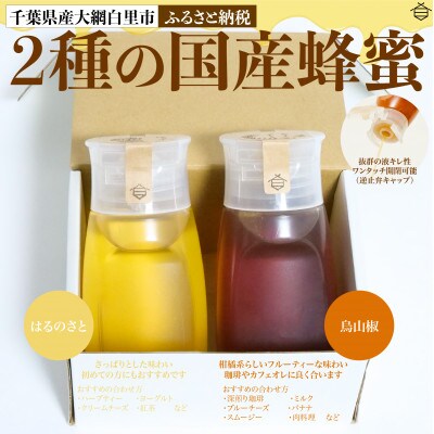 千葉県産はちみつ【使いやすい300g×2種セット 】はるのさと・からすざんしょう
