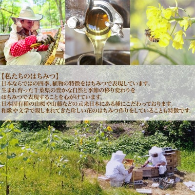 千葉県産はちみつ【使いやすい300g×2種セット 】はるのさと・からすざんしょう