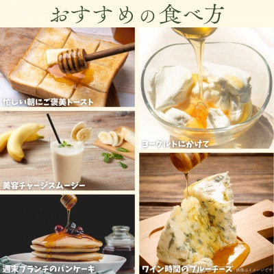 千葉県産はちみつ【500g×2種食べ比べセット】はるのさと・からすざんしょう