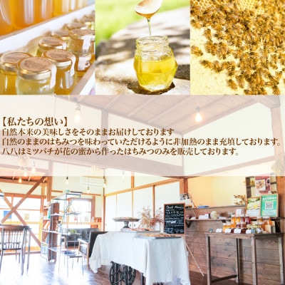 大網白里市産はちみつ【大人気200g1個 】シナモンはちみつ