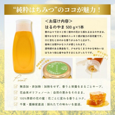 千葉県産純粋はちみつ【500g 1本 】はるのやま(百花蜜)