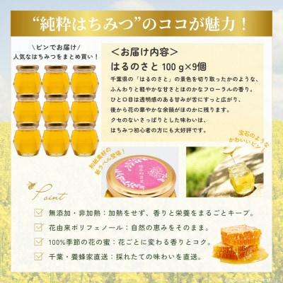 大網白里育ちの純粋はちみつ「はるのさと」(百花蜜)【計900g】100g×9個