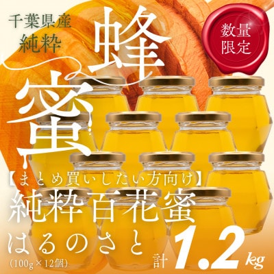 大網白里育ちの純粋はちみつ「はるのさと」(百花蜜)【計1.2kg】100g×12個