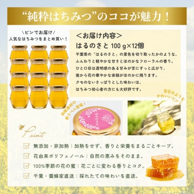 大網白里育ちの純粋はちみつ「はるのさと」(百花蜜)【計1.2kg】100g×12個