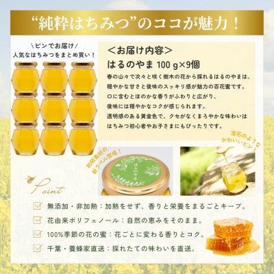 千葉県産純粋はちみつ「はるのやま」(百花蜜)【計900g】100g×9個