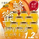 千葉県産純粋はちみつ「はるのやま」(百花蜜)【計1.2kg】100g×12個