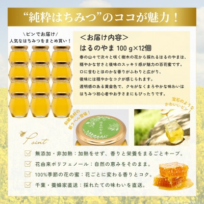 千葉県産純粋はちみつ「はるのやま」(百花蜜)【計1.2kg】100g×12個