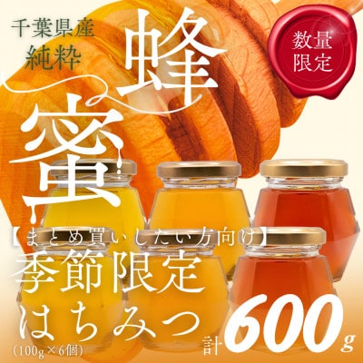 千葉県産「厳選純粋はちみつ」【計600g】100g×6個【ランダムにセレクト】