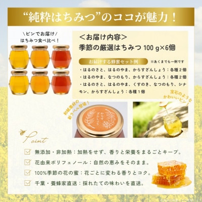 千葉県産「厳選純粋はちみつ」【計600g】100g×6個【ランダムにセレクト】