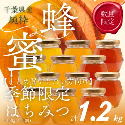 千葉県産「厳選はちみつ」【計1.2kg】100g×12個【ランダムにセレクト】