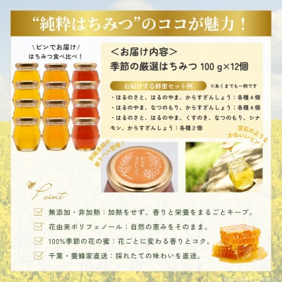 千葉県産「厳選はちみつ」【計1.2kg】100g×12個【ランダムにセレクト】