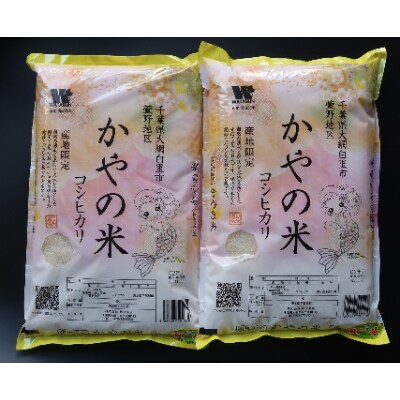 【令和2年産】精米10kg(5kg×2袋)千葉県大網白里市かやの地区産「コシヒカリ」