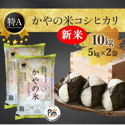 【新米】【令和4年産】【特A評価】10kg(5kg×2袋)千葉県大網白里市かやの地区産「コシヒカリ」