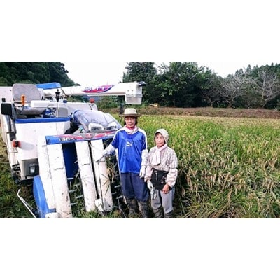 【令和6年産】【特A評価】10kg(5kg×2袋)千葉県大網白里市かやの地区産「コシヒカリ 」