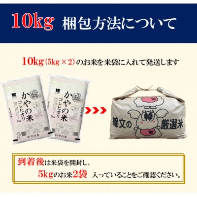【令和6年産】【特A評価】10kg(5kg×2袋)千葉県大網白里市かやの地区産「コシヒカリ 」