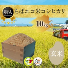 【新米】【令和5年産】特A評価　千葉県産エコ米　コシヒカリ玄米10kg