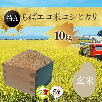 【令和6年産】【特A評価】千葉県産「コシヒカリ」ちばエコ米 玄米 10kg×1袋
