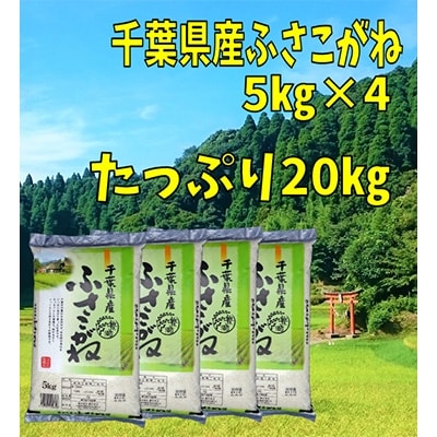 令和3年産 千葉県産 ふさこがね たっぷり精米kg 5kg 4袋 お礼品詳細 ふるさと納税なら さとふる