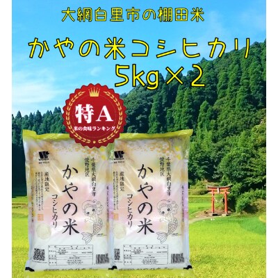 令和3年産】大網白里市萱野地区産「かやの米コシヒカリ」精米 10kg(5kg