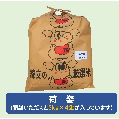 【令和3年産】【期間限定】千葉県産「ふさこがね」精米 20kg(5kg×4袋)