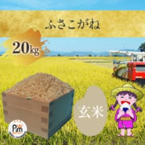 【令和5年産】 千葉県産「ふさこがね」玄米 20kg