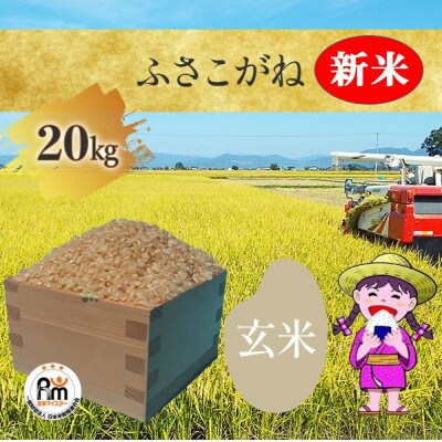 【新米】【令和4年産】千葉県産「ふさこがね」玄米 20kg