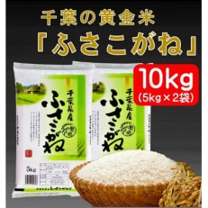 千葉県産ふさこがね 精米10kg(5kg×2)【考古資料の教材化】