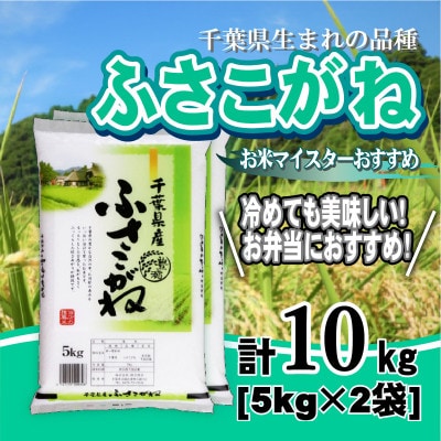 【令和7年産】千葉県産「ふさこがね」精米 10kg(5kg×2袋)