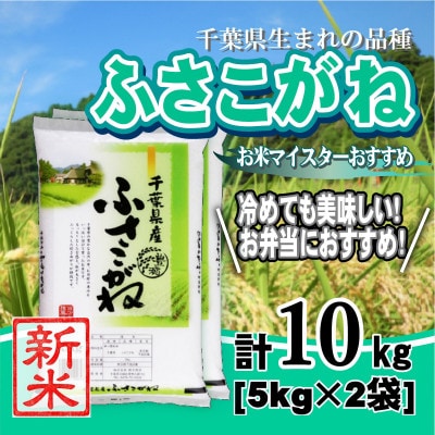 【新米 令和8年産】千葉県産「ふさこがね」精米 10kg(5kg×2袋)