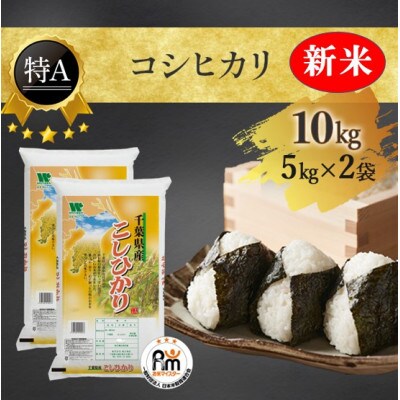 【新米】【令和4年産】特A評価 千葉県産「コシヒカリ」精米10kg(5kg×2)