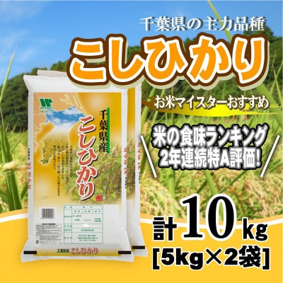 【新米 令和7年産】【特A評価】千葉県産「コシヒカリ」精米 10kg(5kg×2袋)