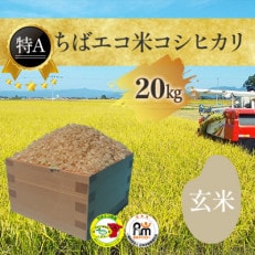 【新米】【令和5年産】【特A評価】千葉県産「エコ米コシヒカリ」玄米　20kg×1袋