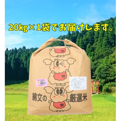 【令和6年産】【特A評価】千葉県産「コシヒカリ」ちばエコ米 玄米 20kg×1袋