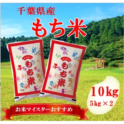 【新米 令和7年産】千葉県産「もち米」精米 10kg(5kg×2袋)