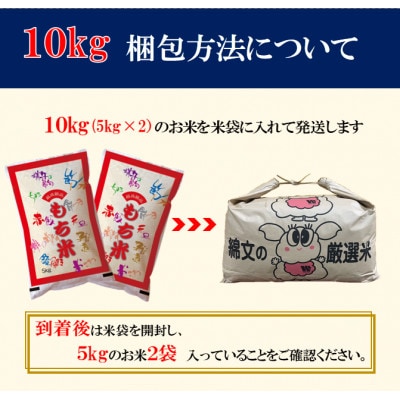 【新米 令和7年産】千葉県産「もち米」精米 10kg(5kg×2袋)