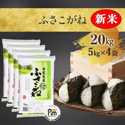 【新米】【令和4年産】千葉県独自品種「ふさこがね」精米 20kg (5kg×4袋)