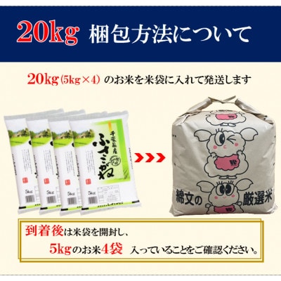 【令和7年産】千葉県産「ふさこがね」精米 20kg(5kg×4袋)