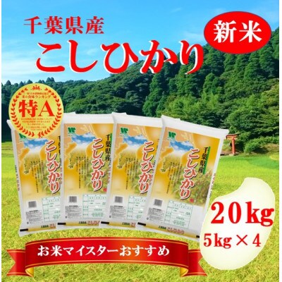 【新米】【令和4年産】【特A評価】千葉県産「コシヒカリ」精米 20kg(5kg×4袋)