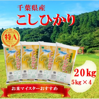 【新米】【令和5年産】【特A評価】千葉県産「コシヒカリ」精米 20kg(5kg×4袋)