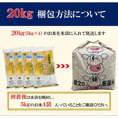【令和7年産】【特A評価】千葉県産「コシヒカリ」精米 20kg(5kg×4袋)