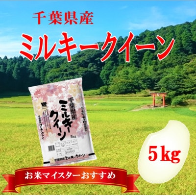 【令和6年産】千葉県産「ミルキークイーン」精米 5kg(5kg×1袋)