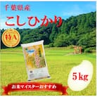 【新米 令和7年産】【特A評価】千葉県産「コシヒカリ」精米 5kg(5kg×1袋)
