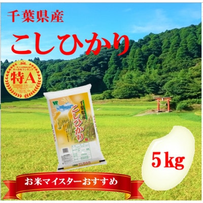 【令和6年産】【特A評価】千葉県産「コシヒカリ」精米 5kg(5kg×1袋)