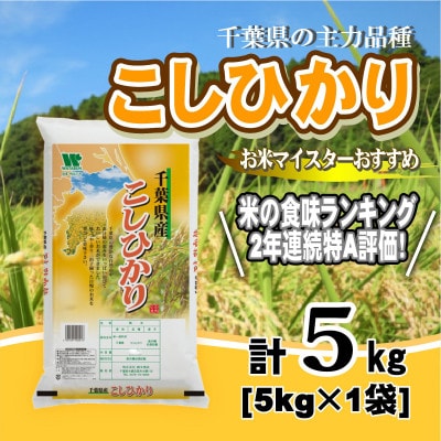 【令和7年産】【特A評価】千葉県産「コシヒカリ」精米 5kg(5kg×1袋)