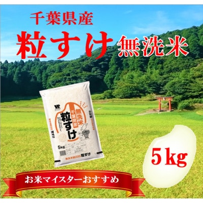 【新米 令和7年産】千葉県産「粒すけ」無洗米 5kg(5kg×1袋)