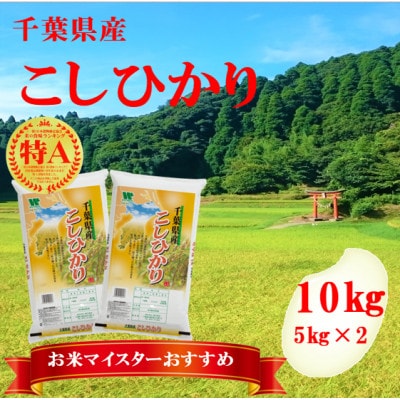 【令和6年産】【特A評価】千葉県産「コシヒカリ」精米 10kg(5kg×2袋)