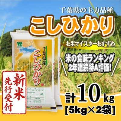【令和8年産 新米先行受付!】【特A評価】千葉県産「コシヒカリ」精米 10kg(5kg×2袋)