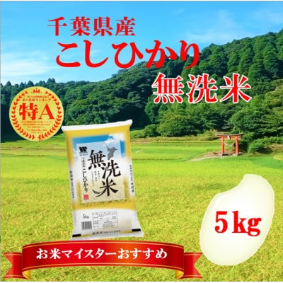 【令和6年産】【特A評価】千葉県産「コシヒカリ」無洗米 5kg(5kg×1袋)