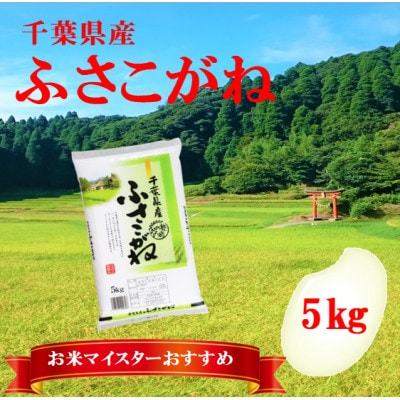 【令和7年産】千葉県産「ふさこがね」精米 5kg(5kg×1袋)