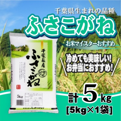 【令和7年産】千葉県産「ふさこがね」精米 5kg(5kg×1袋)